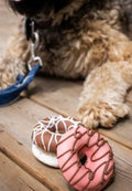 Earthdawg Mini Donuts - 8/Pack