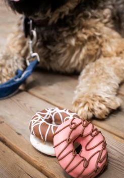 Earthdawg Mini Donuts - 8/Pack
