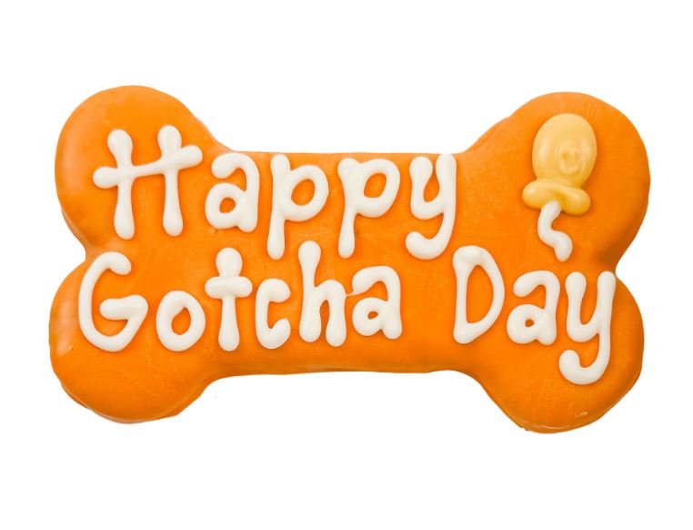 Orange Happy Gotcha Day Bone - 10/Case