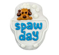 Spaw Day - 12/Case