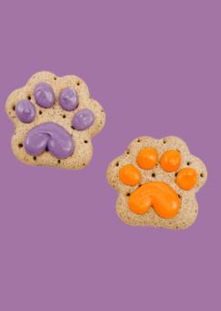Let the Paw-nanigans Begin ! - 40/Case